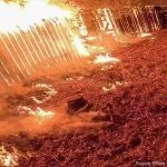 Fireworks suspected in Folsom fire that threatened homes July Fourth