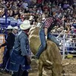 Folsom to host 2nd annual Sacramento County Sheriff’s Rodeo; tickets on sale now for Oct. 4 event