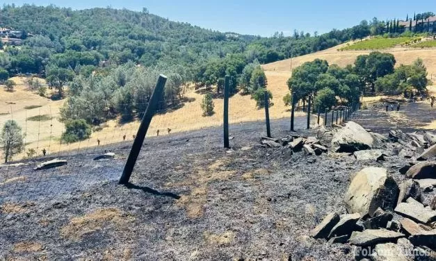 Foward progress stopped of El Dorado Hills Falcon Fire Monday