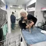 Final $187K gift from local Veteran Leaves a Legacy for Sac County Shelter Pets