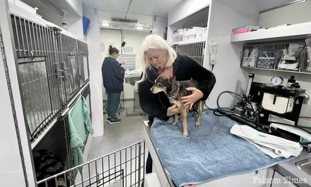 Final $187K gift from local Veteran Leaves a Legacy for Sac County Shelter Pets