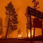 New tool tracks impact of area wildfires, aids in resilience planning