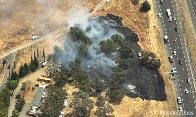 Bass Lake vegetation fire in El Dorado Hills halted at 3 acres