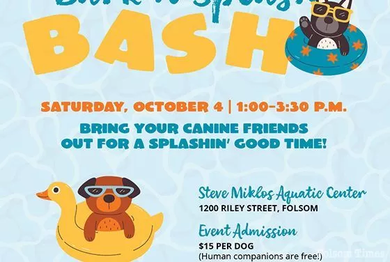 Bark N’ Splash