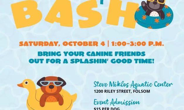 Bark N’ Splash