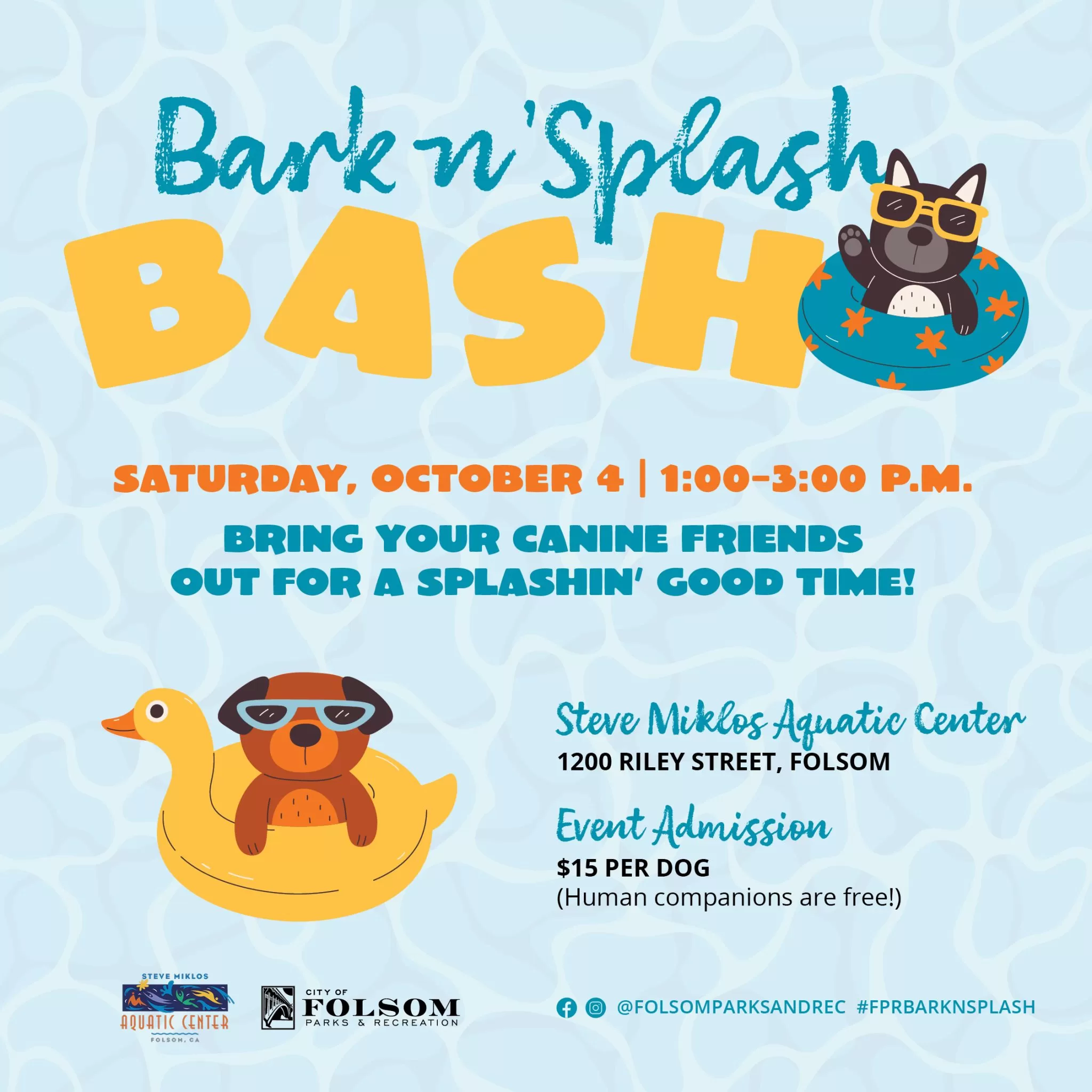 BarkNSplash FeedGraphic Scaled