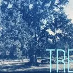 Local artist exhibit will feature Folsom Ancient oaks