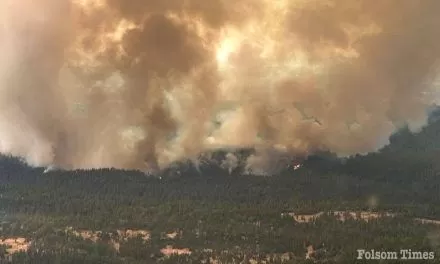 Firefighters gain 5% containment as Coyote Fire expands to 554 acres