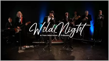 Wild Night Cover Updated Resize