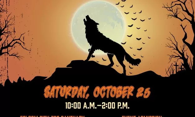 Wild Howl-O-Ween