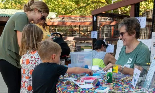 Friends of the Folsom Zoo Seeks Volunteer Board Members