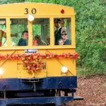 Pumpkin Patch Flyer delivers Folsom fall tradition once again
