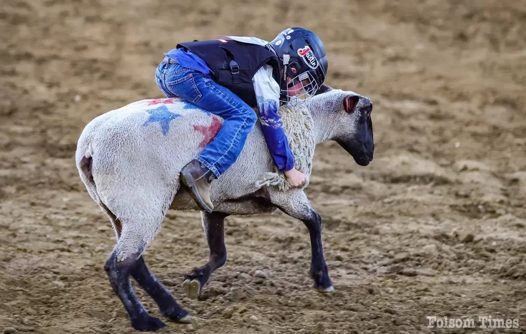 Mutton busting signups open for Oct. 4 Sheriff’s Rodeo in Folsom