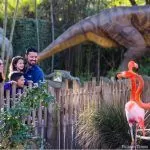 Sacramento Zoo announces plans to expand current location