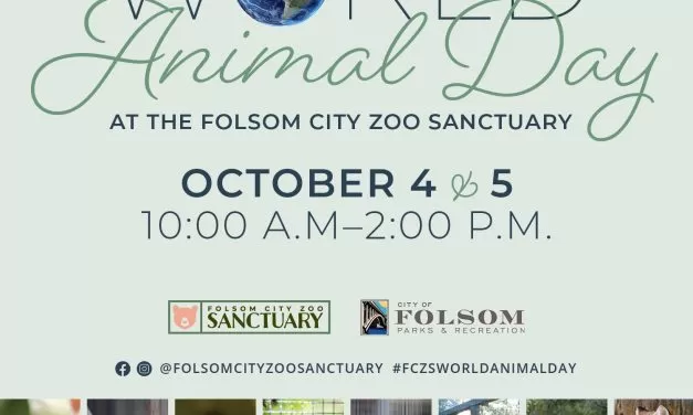 World Animal Day