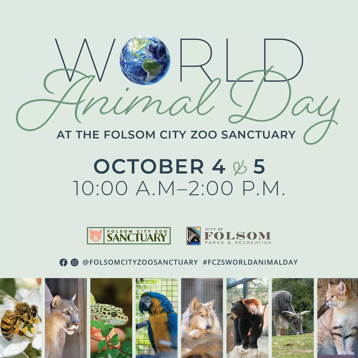 WorldAnimalDay FeedGraphic