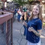 Volunteers deck the habitat for Folsom Wild Nights & Holiday Lights