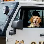 Folsom Dam Security Bureau mourns loss of retired K9 Astro