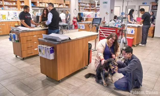 New Emergency Pet Hospital Brings 24 Hour Care to Folsom