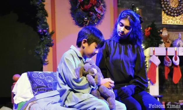 Velveteen Rabbit is holiday heart warmer at Sutter Street Theatre