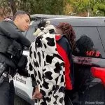 Theft suspect sporting cow-onesie wrangled up by Cordova Police