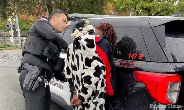 Theft suspect sporting cow-onesie wrangled up by Cordova Police